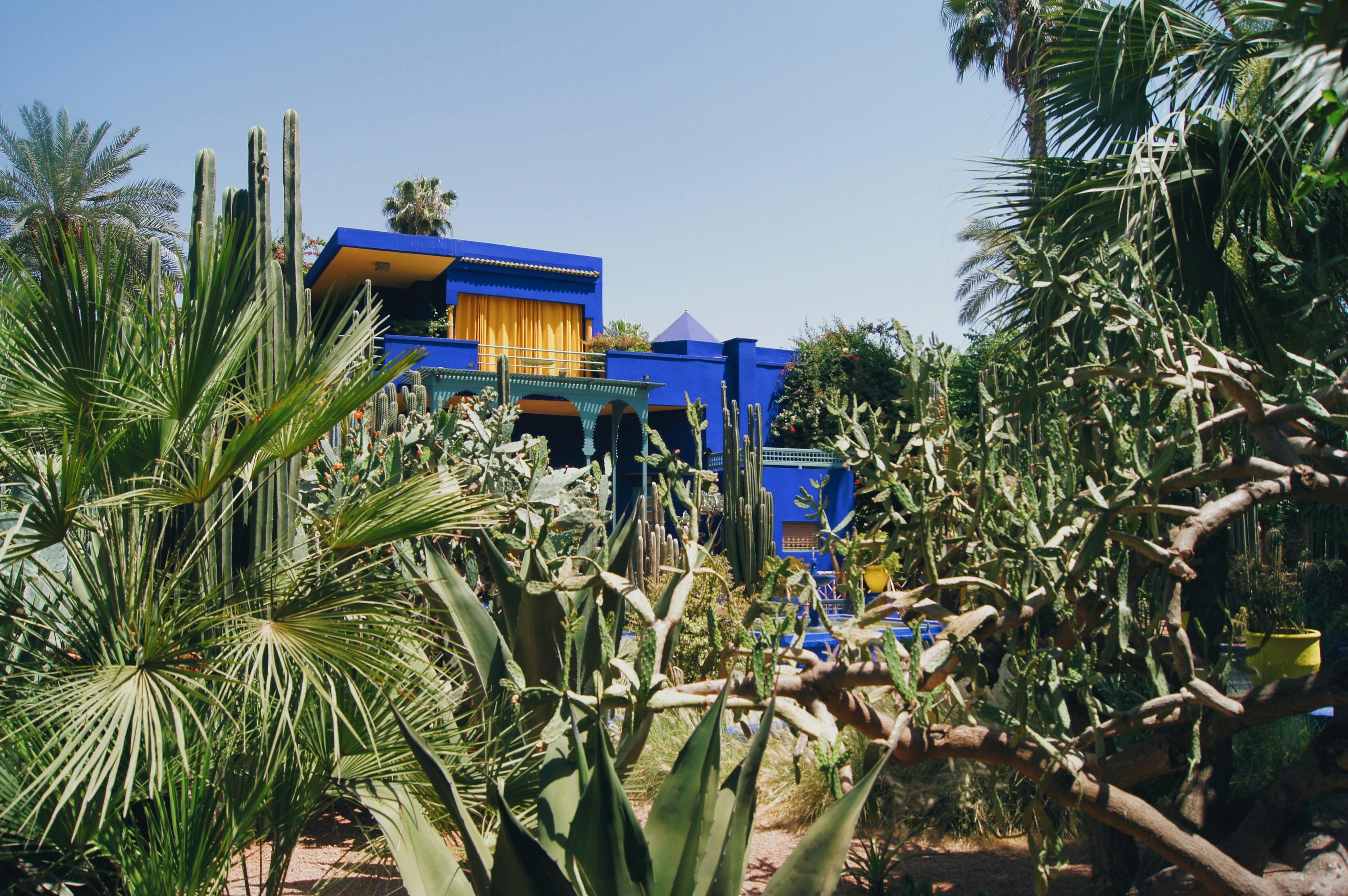 Moroccan riad courtyard with mosaic tilework and lush plants in Marrakech medina